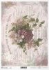 vintage, retro, powojnik, clematis, kwiat, ogród, bukiet, dekor, ornament, napisy w stylu retro, R716, clematis, flower, garden, bouquet, decoration, ornament, retro lettering, Blume, Garten, Strauß, Dekoration, Ornament, Retro-Schriftzug, clemátide, flor
